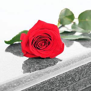 Friedhof Brunn am Gebirge Blumen Kränze Buketts Friedhof Brunn am Gebirge Blumen Kränze Buketts