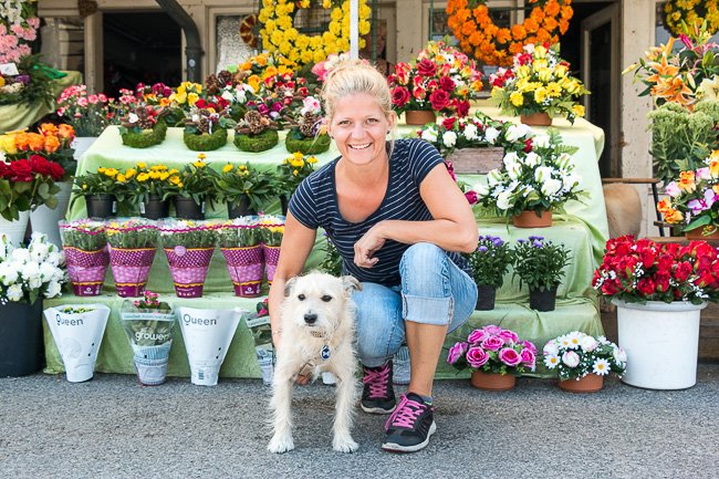 Bianca Hoffmann: Seefried Blumen - Kränze - Buketts beim Zentralfriedhof