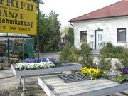 Friedhofsgärtnerei Zentralfriedhof